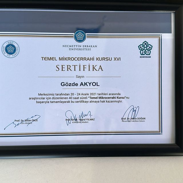 Resmi büyüt: certificate 9