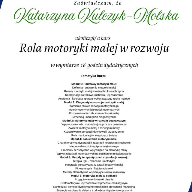 Powiększ obraz: certificate 49