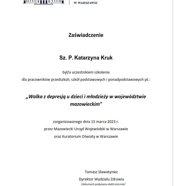 Powiększ obraz: certificate 3