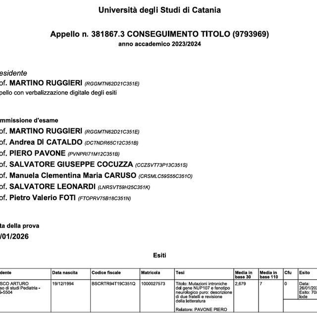 Ingrandire l'immagine: certificate 1