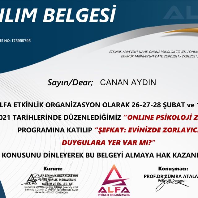 Resmi büyüt: certificate 12