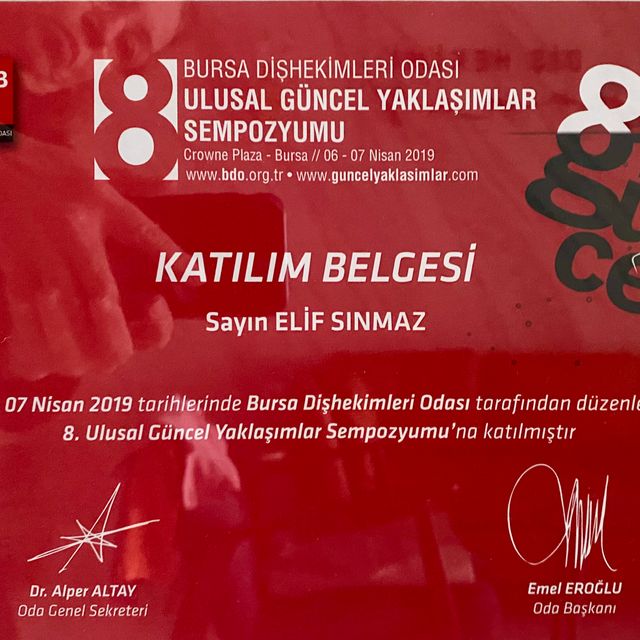 Resmi büyüt: certificate 6