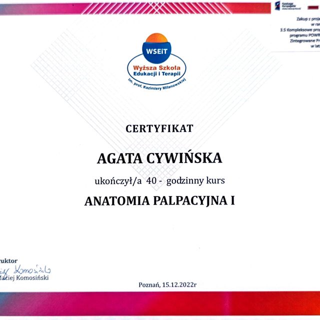 Powiększ obraz: certificate 2