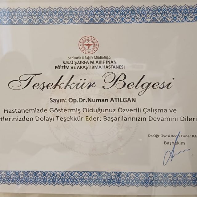 Resmi büyüt: certificate 7