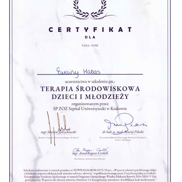 Powiększ obraz: certificate 3