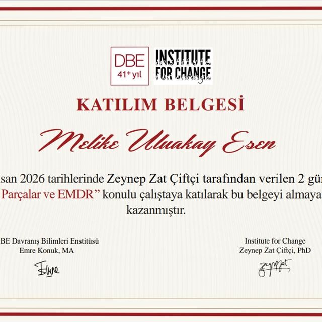 Resmi büyüt: certificate 41