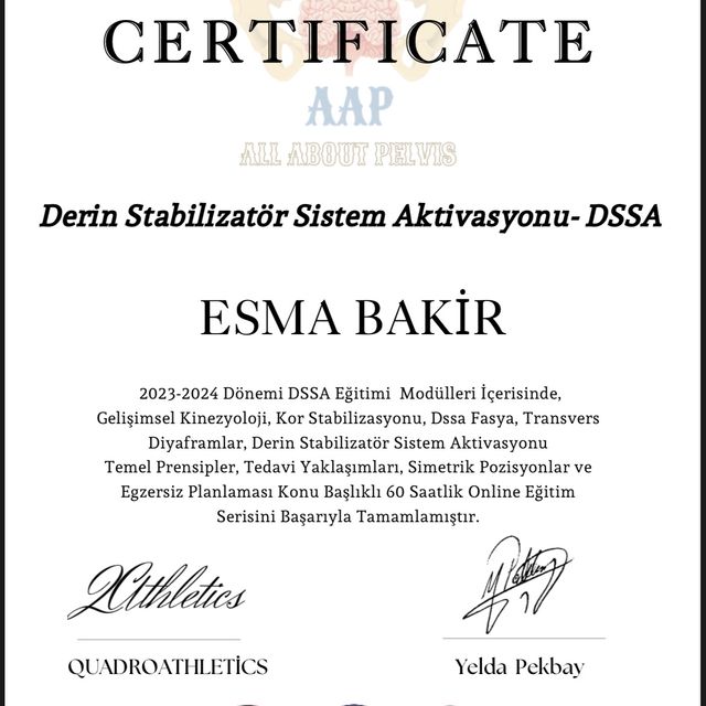 Resmi büyüt: certificate 1