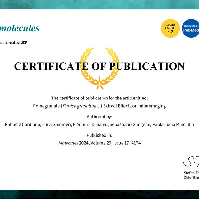 Ingrandire l'immagine: certificate 7