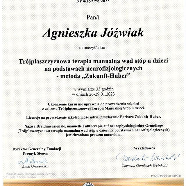 Powiększ obraz: certificate 8