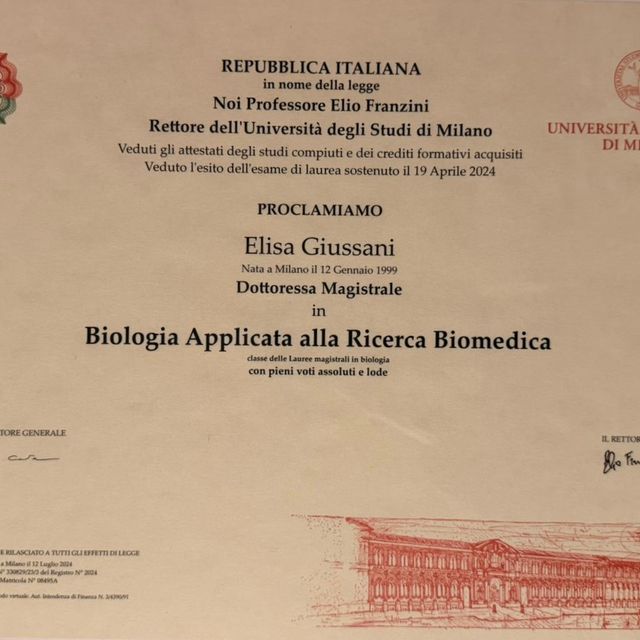 Ingrandire l'immagine: certificate 2