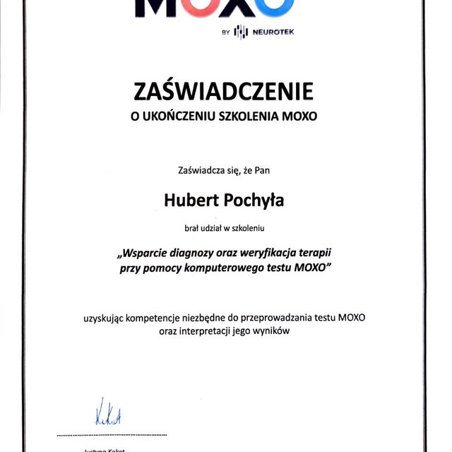 Powiększ obraz: certificate 4