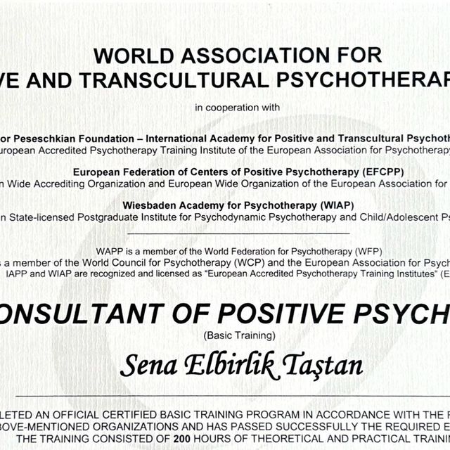 Resmi büyüt: certificate 6