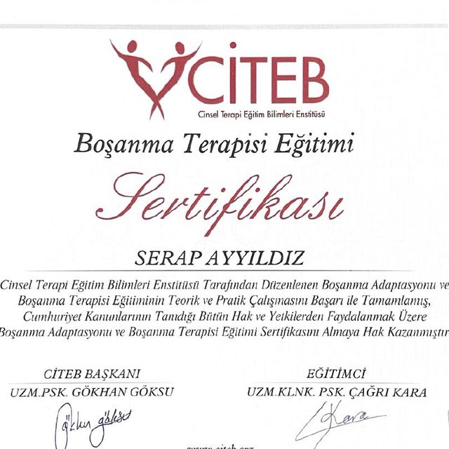 Resmi büyüt: certificate 3