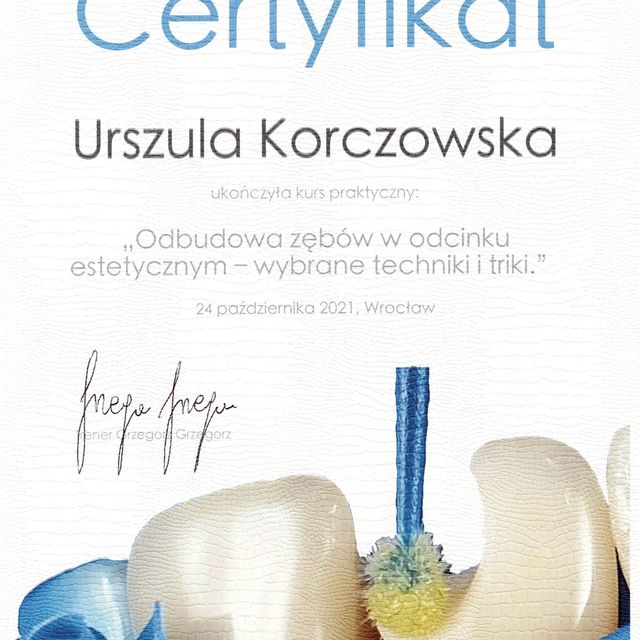 Powiększ obraz: certificate 1