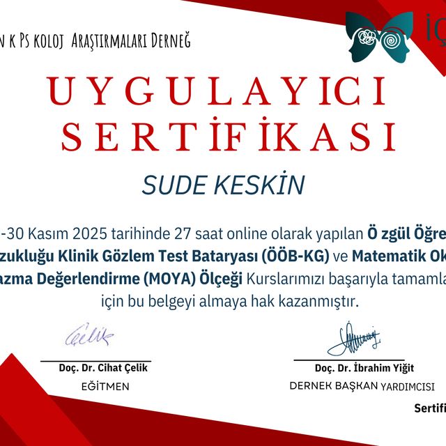 Resmi büyüt: certificate 1