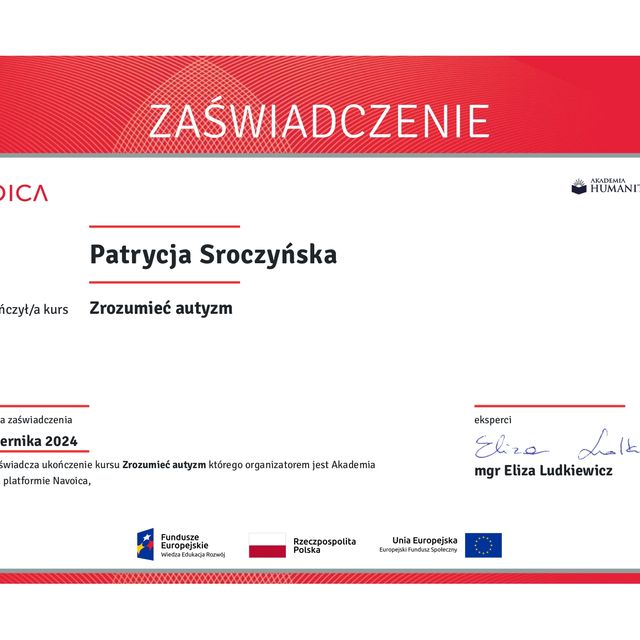 Powiększ obraz: certificate 7