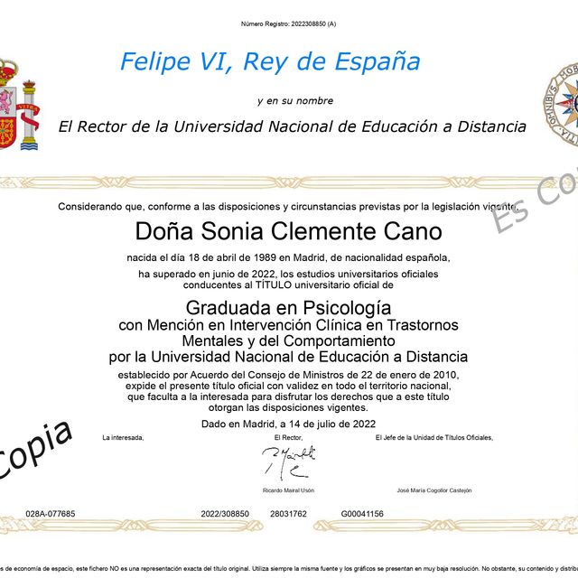Acercar imagen: certificate 1