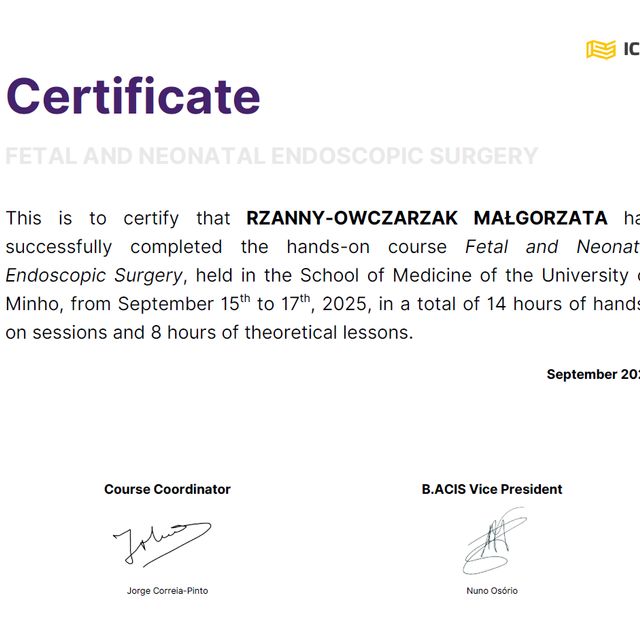 Powiększ obraz: certificate 11