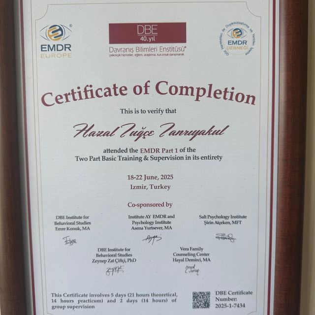 Resmi büyüt: certificate 8