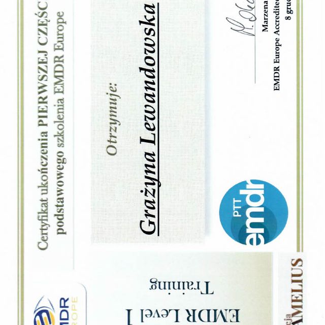 Powiększ obraz: certificate 6