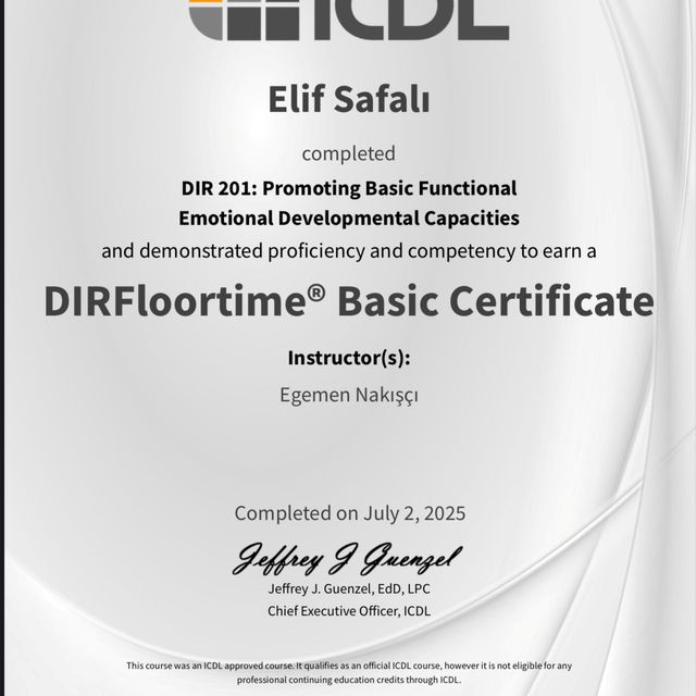 Resmi büyüt: certificate 1