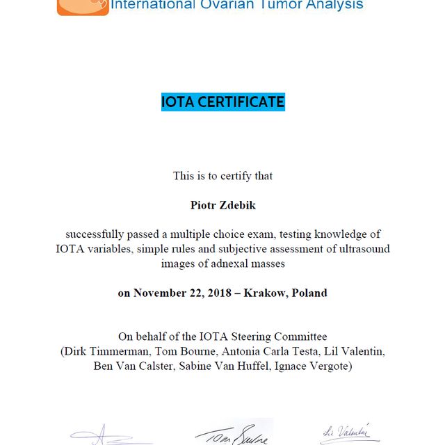 Powiększ obraz: certificate 1