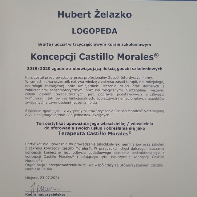 Powiększ obraz: certificate 1