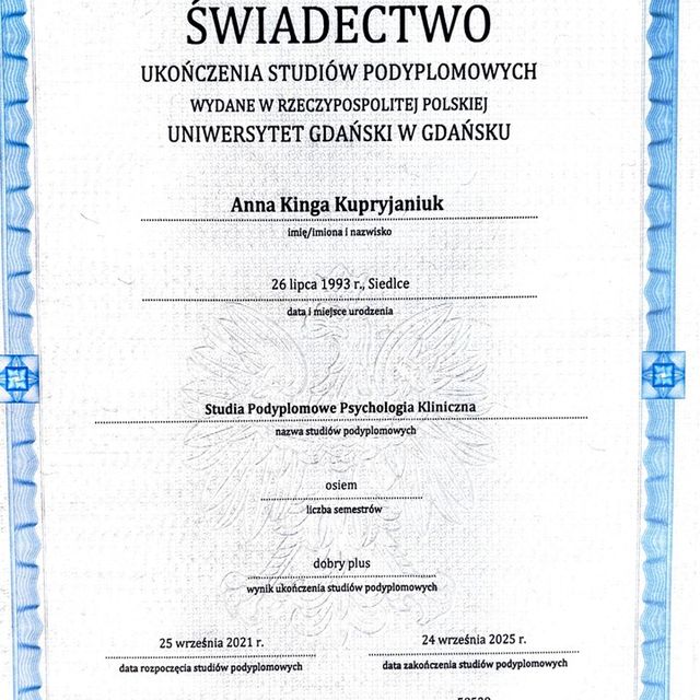 Powiększ obraz: certificate 1