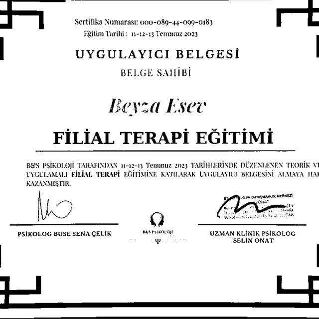 Resmi büyüt: certificate 5