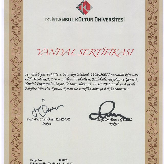 Resmi büyüt: certificate 5