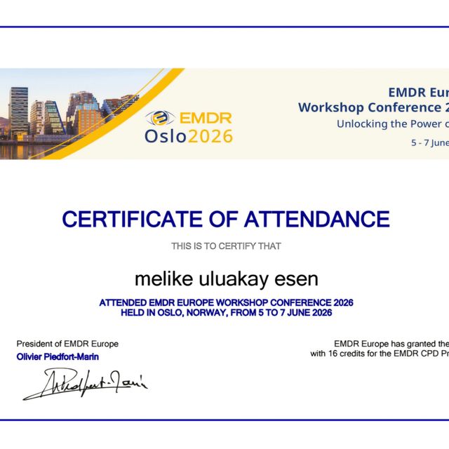 Resmi büyüt: certificate 39