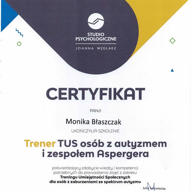 Powiększ obraz: certificate 3