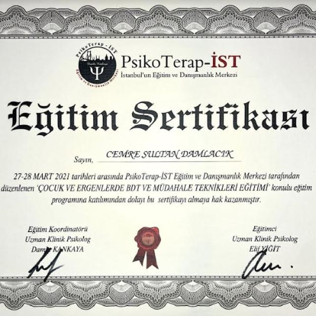 Resmi büyüt: certificate 11