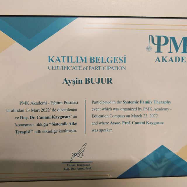 Resmi büyüt: certificate 6