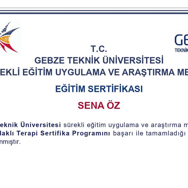 Resmi büyüt: certificate 4