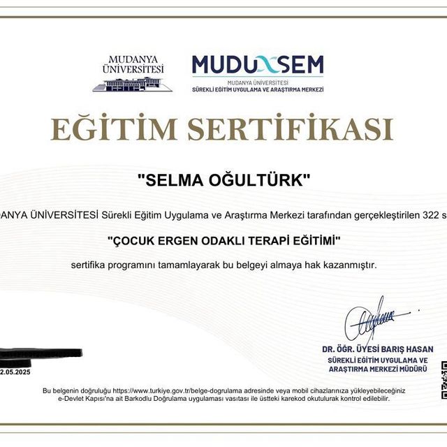 Resmi büyüt: certificate 9