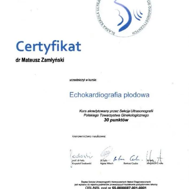 Powiększ obraz: certificate 14