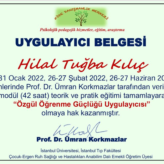 Resmi büyüt: certificate 2
