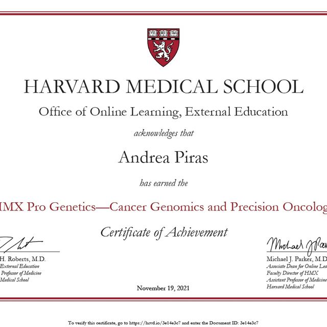 Ingrandire l'immagine: certificate 1