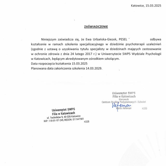 Powiększ obraz: certificate 1