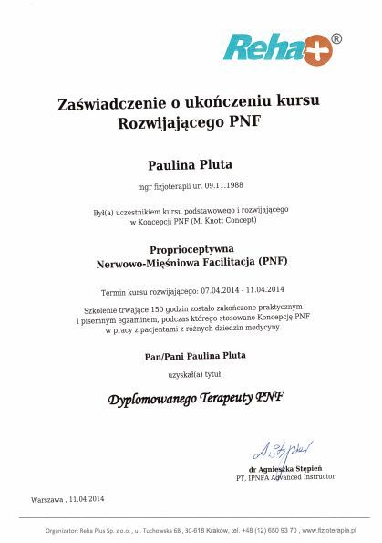 Powiększ obraz: certificate 8