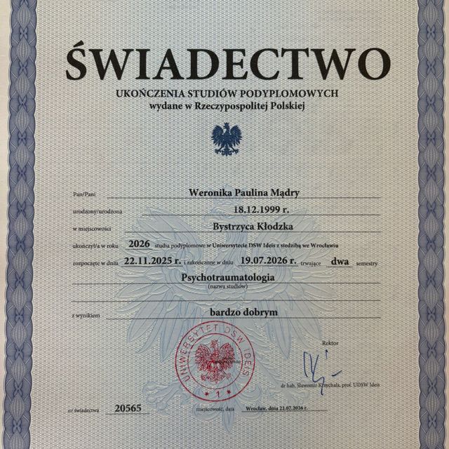 Powiększ obraz: certificate 3