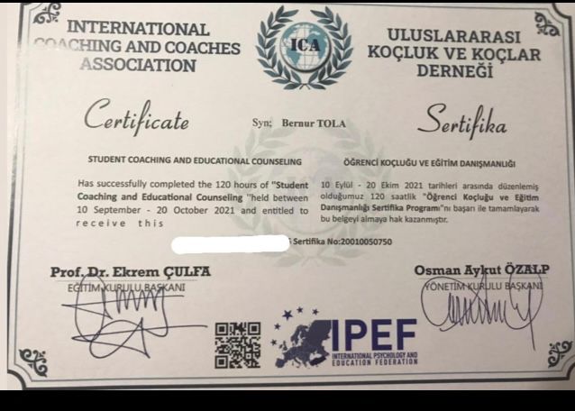 Resmi büyüt: certificate 15
