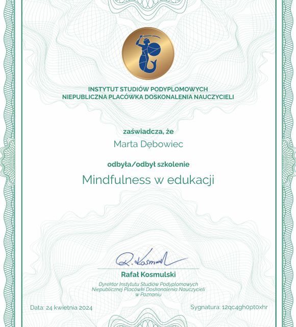 Powiększ obraz: certificate 3