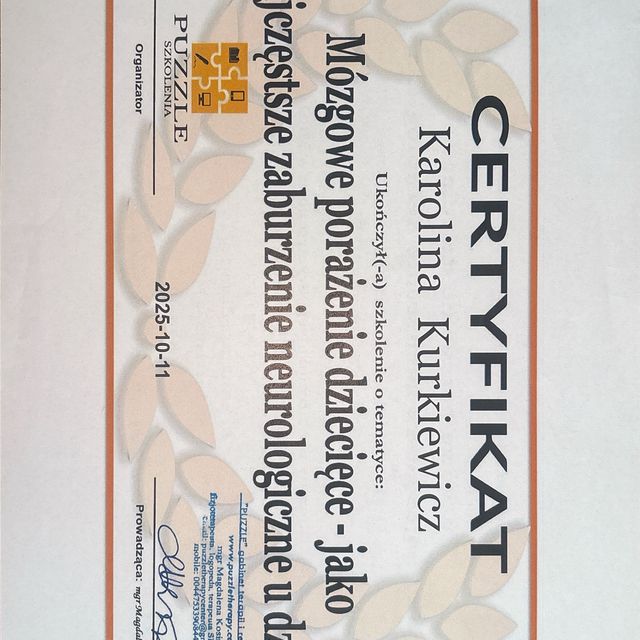 Powiększ obraz: certificate 13