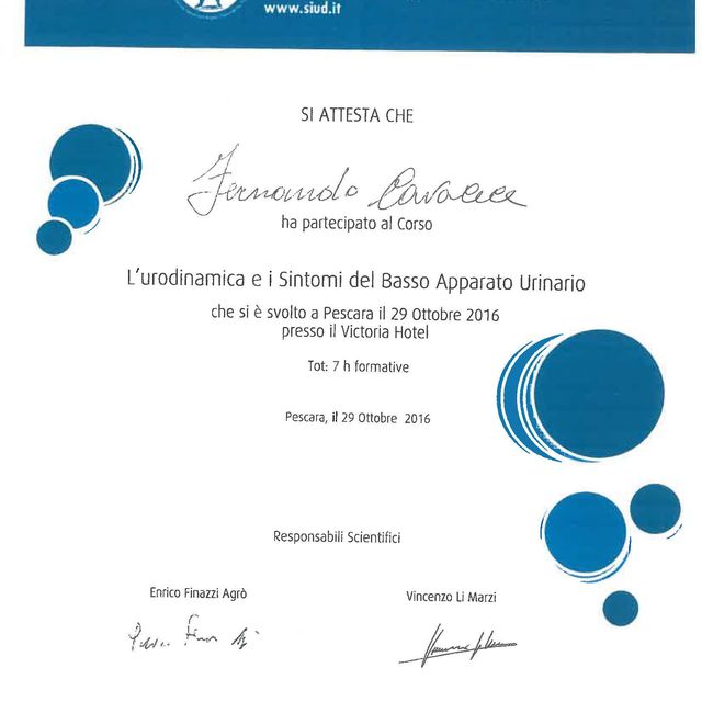 Ingrandire l'immagine: certificate 53