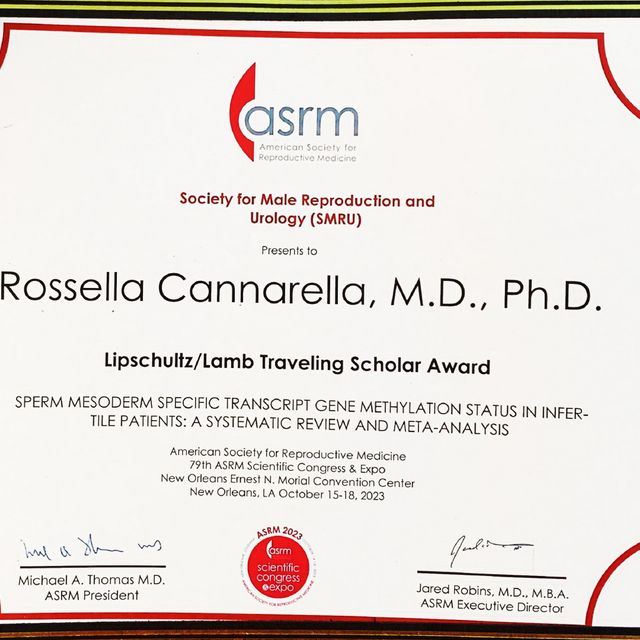 Ingrandire l'immagine: certificate 4