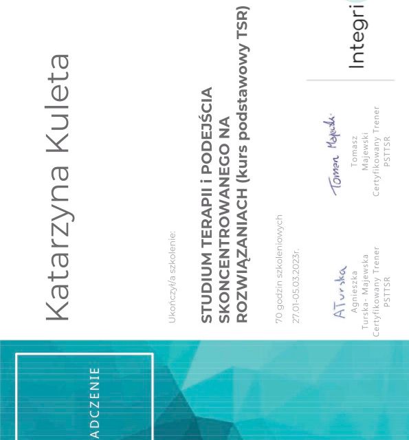 Powiększ obraz: certificate 1