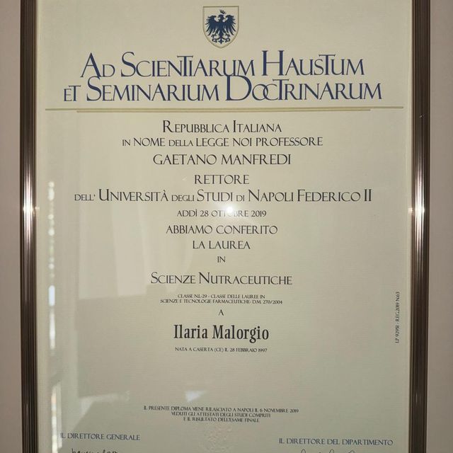 Ingrandire l'immagine: certificate 1
