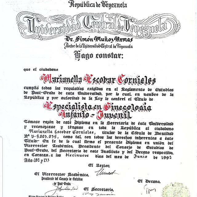 Acercar imagen: certificate 5